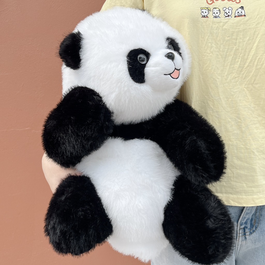 Hội gấu trúc Jooki