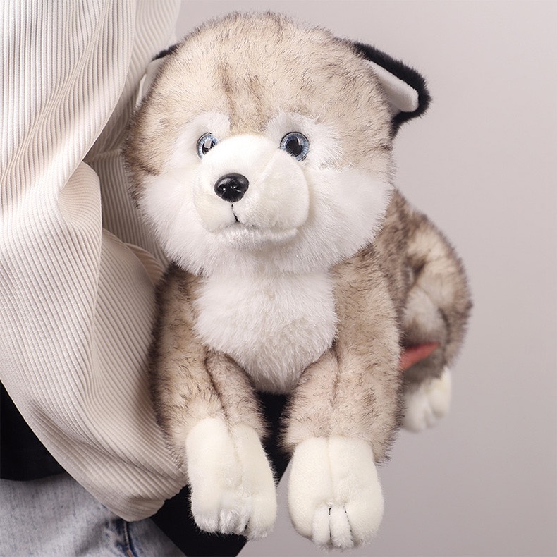 Gấu bông cún Dudu và Husky