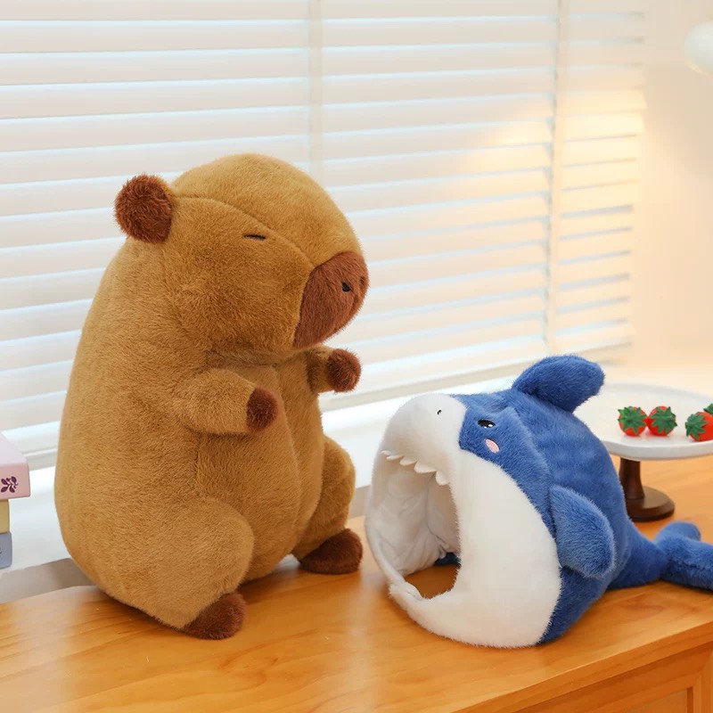 Gấu bông Capybara đội mũ cá mập