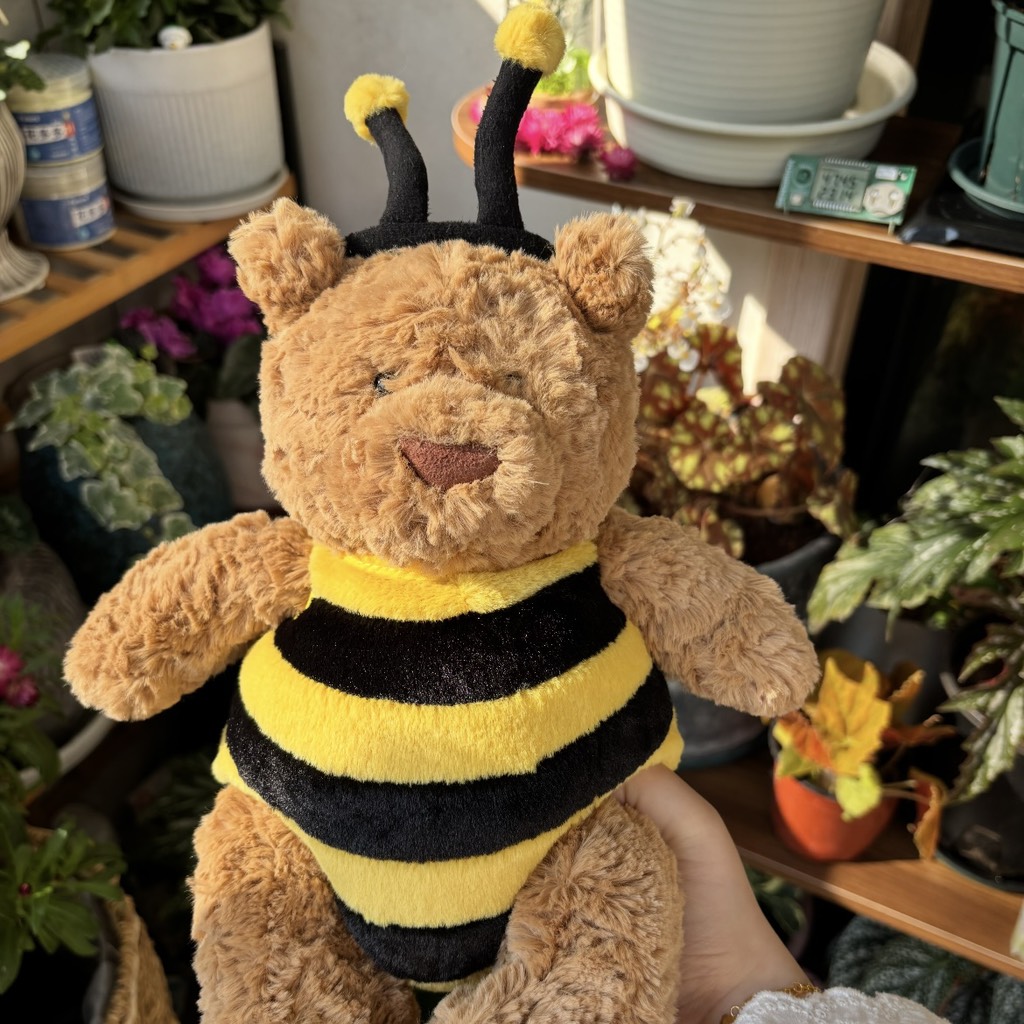 Gấu teddy ong nâu đậm 45cm