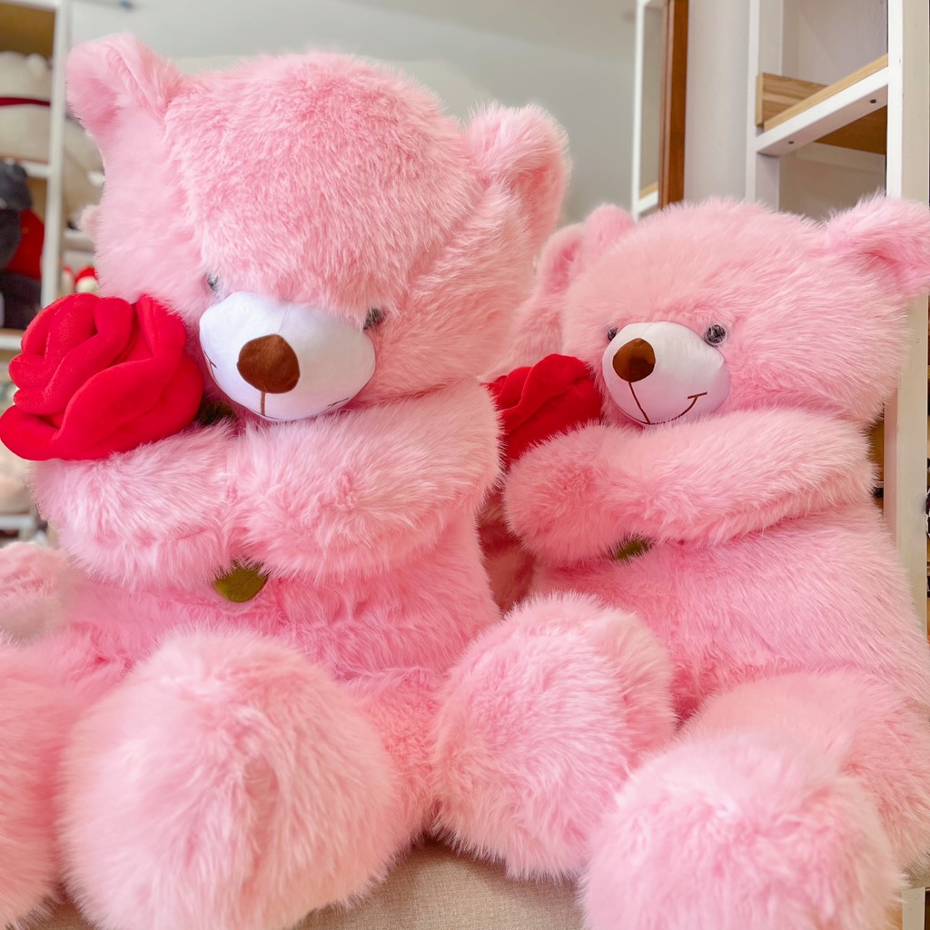 Teddy lông kim ôm hoa