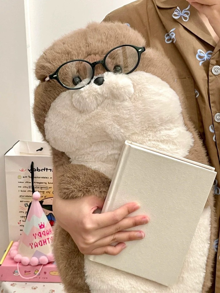 Hải cẩu bụng béo Habi