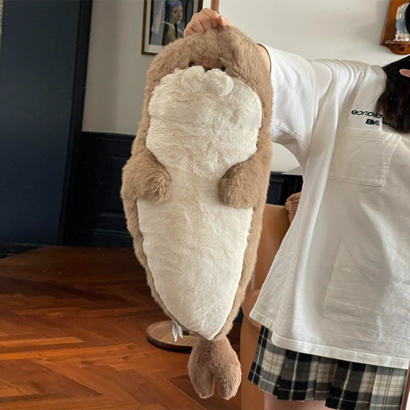Hải cẩu bụng béo Habi