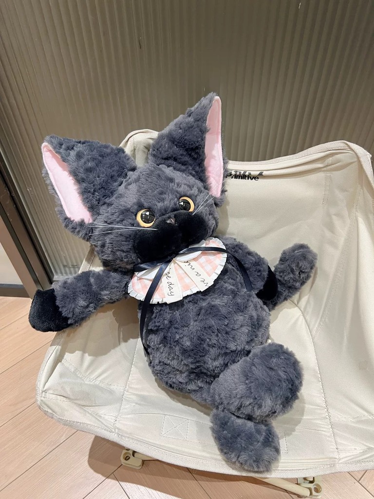 Hội gấu bông mèo Misa quý tộc