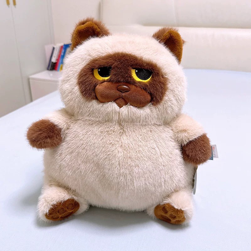 Mèo Miu Chan bụng bự