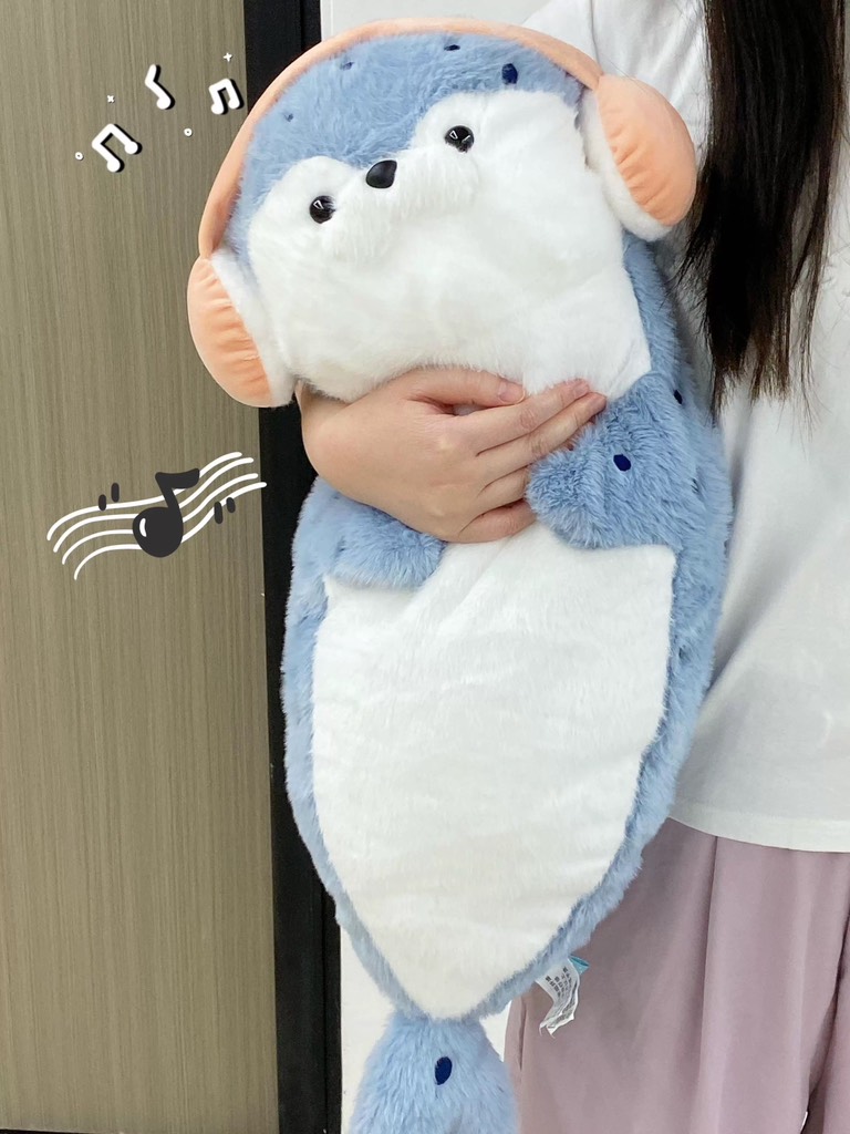 Hải cẩu bụng béo Habi