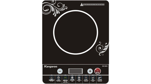 BẾP ĐIỆN TỪ ĐƠN KG420i