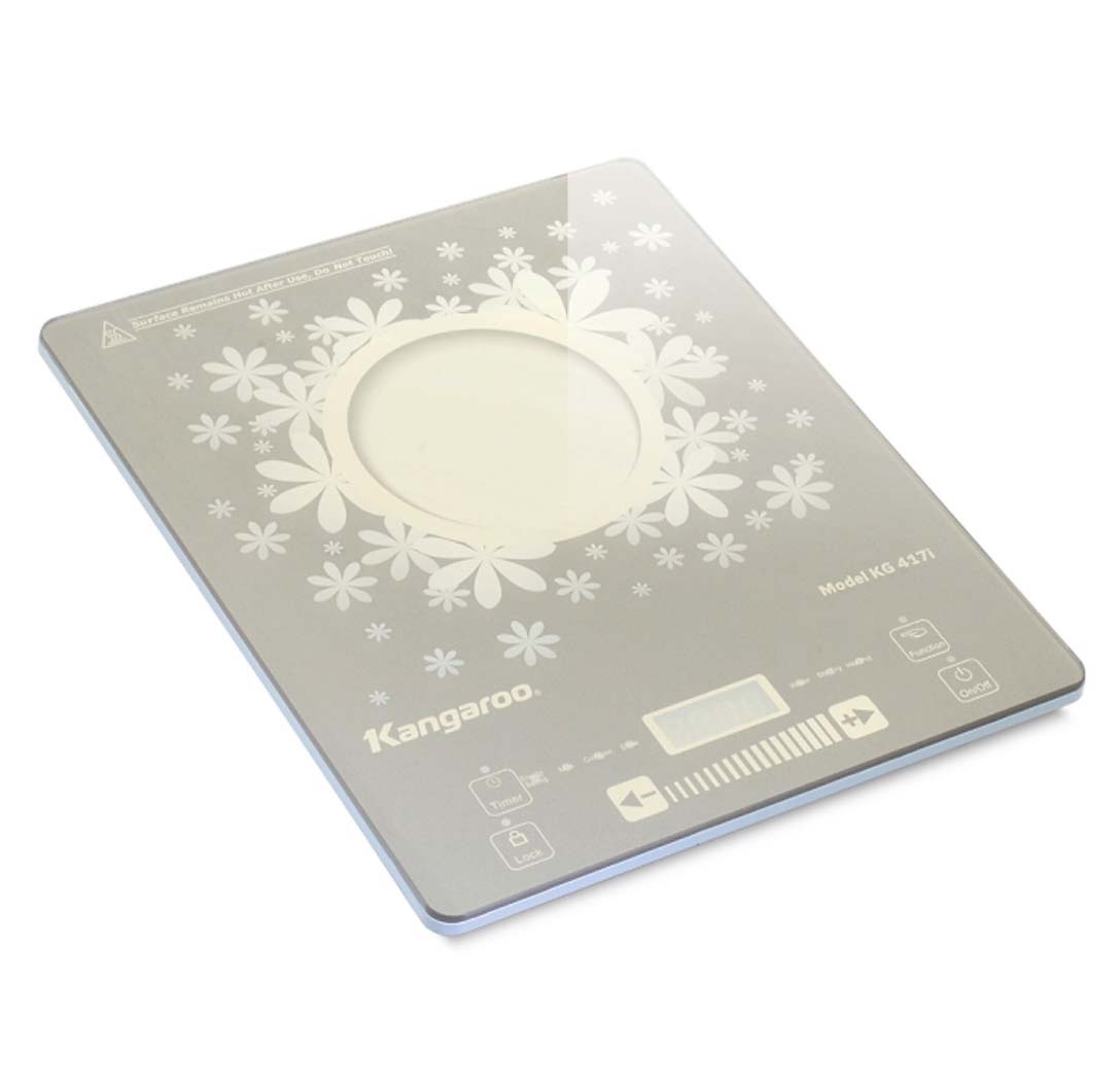 Bếp điện từ đơn KG417i