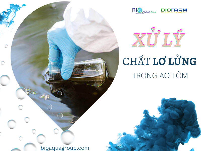 QUẢN LÝ CHẤT LƠ LỬNG TRONG NUÔI TÔM