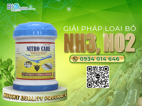 XỬ LÝ KHÍ ĐỘC NO2 NH3 TẠI ĐÁY AO TÔM