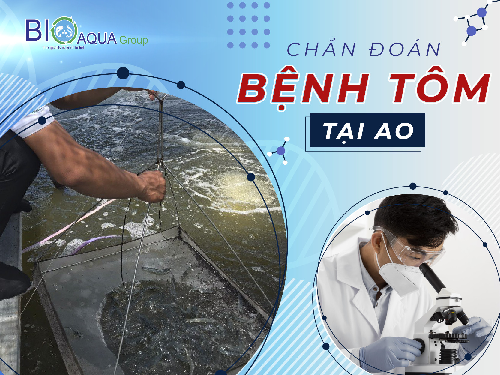 THĂM AO NUÔI - KỸ THUẬT CHUẨN ĐOÁN BỆNH TÔM TẠI AO