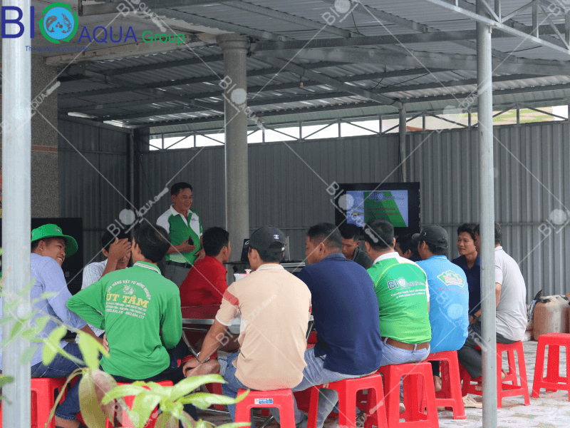 GIẢI PHÁP NUÔI TÔM THÀNH CÔNG KỸ THUẬT ƯƠNG GIÈO TÔM GIỐNG 7 NGÀY CÙNG BIOAQUA GROUP
