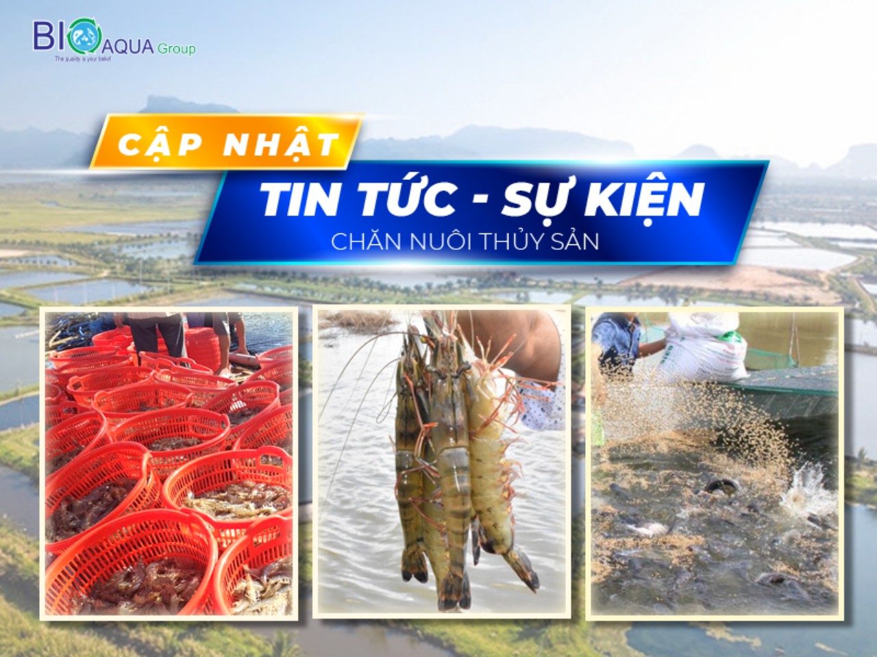 VIỆT NAM ĐỨNG THỨ 8 TRONG SẢN XUẤT THỨC ĂN CHĂN NUÔI, THỦY SẢN TOÀN CẦU