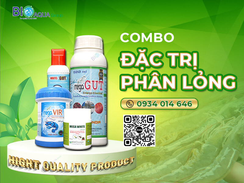 NGĂN NGỪA, ĐIỀU TRỊ PHÂN LỎNG, PHÂN TRẮNG Ở TÔM VÀO MÙA MƯA