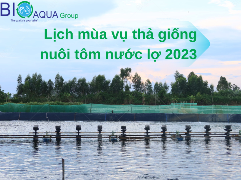 KHUNG LỊCH MÙA VỤ THẢ GIỐNG NUÔI TÔM NƯỚC LỢ NĂM 2023