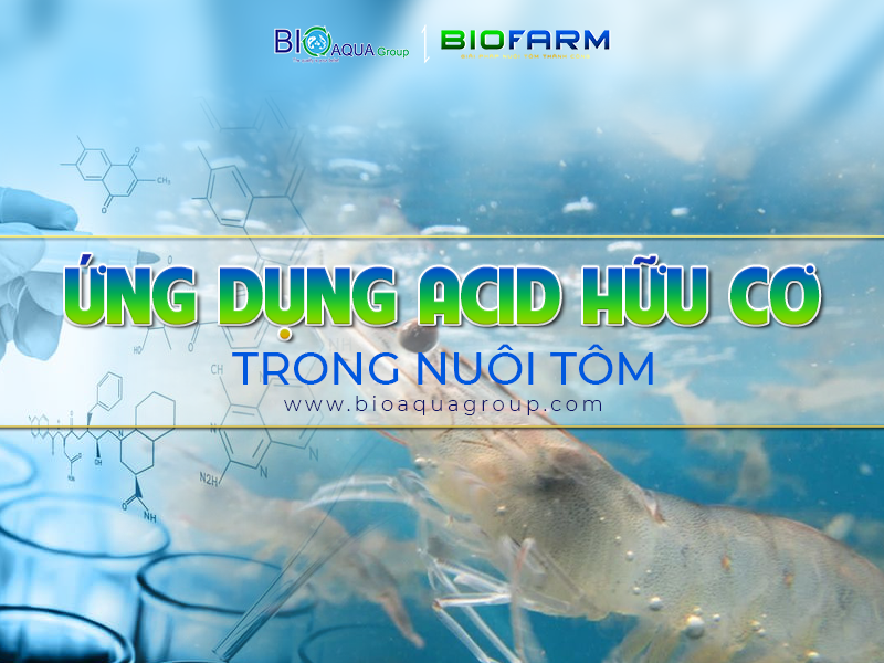 ỨNG DỤNG ACID HỮU CƠ TRONG NUÔI TÔM