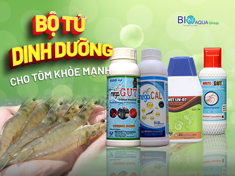 BỘ TỨ DINH DƯỠNG BỔ SUNG VÀO THỨC ĂN CHO TÔM TĂNG TRƯỞNG KHỎE MẠNH