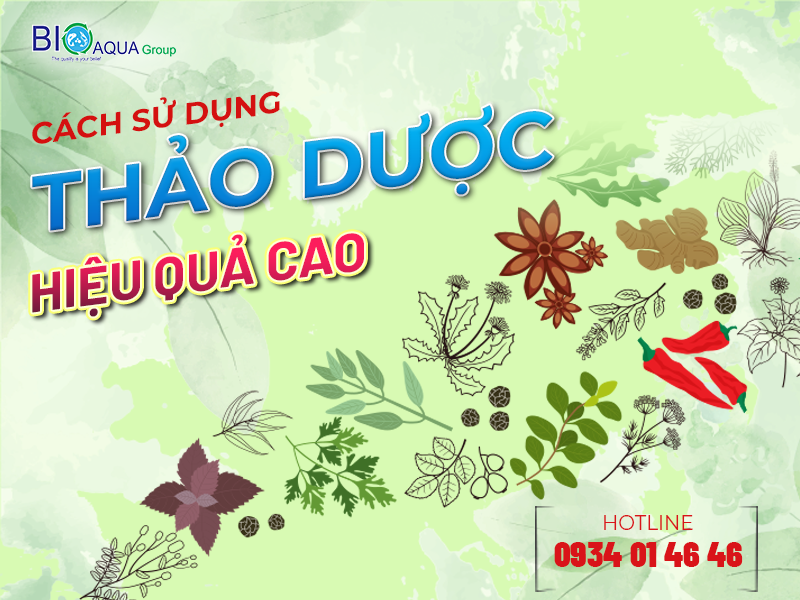 THẢO DƯỢC: ƯU - NHƯỢC ĐIỂM VÀ GIẢI PHÁP TỐI ƯU HÓA HIỆU QUẢ KHI DÙNG VÀ PHÒNG TRỊ BỆNH CHO TÔM