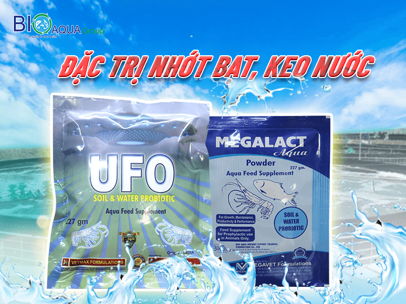 ĐẶC TRỊ KEO NƯỚC NHỚT BẠT TRONG AO NUÔI TÔM