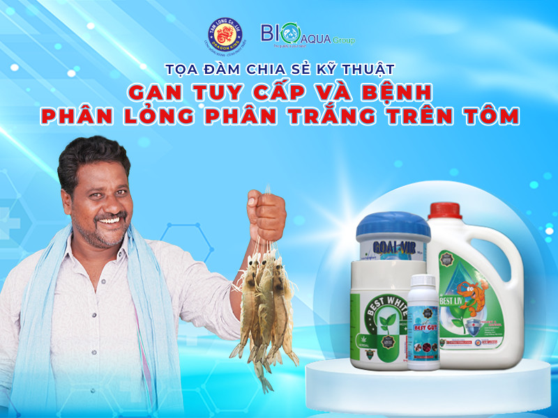 TỌA ĐÀM CHIA SẺ KỸ THUẬT - GAN TỤY CẤP VÀ BỆNH PHÂN LỎNG, PHÂN TRẮNG TRÊN TÔM