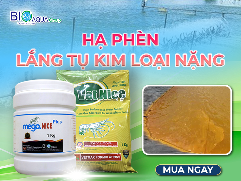 GIẢI PHÁP HẠ PHÈN LẮNG TỤ KIM LOẠI NẶNG KHỬ ĐỘC CHO AO NUÔI