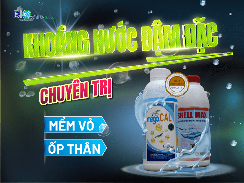 BỔ SUNG KHOÁNG SIÊU ĐẬM ĐẶC - GIẢI QUYẾT MỀM VỎ ỐP TRÊN THÂN TÔM