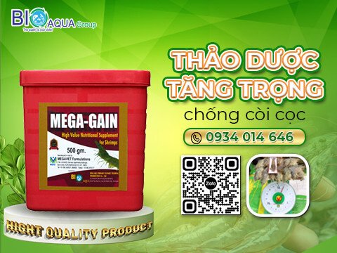 XU HƯỚNG MỚI TĂNG TRỌNG TỪ THẢO DƯỢC AN TOÀN CHO TÔM NUÔI SIÊU TĂNG TRƯỞNG