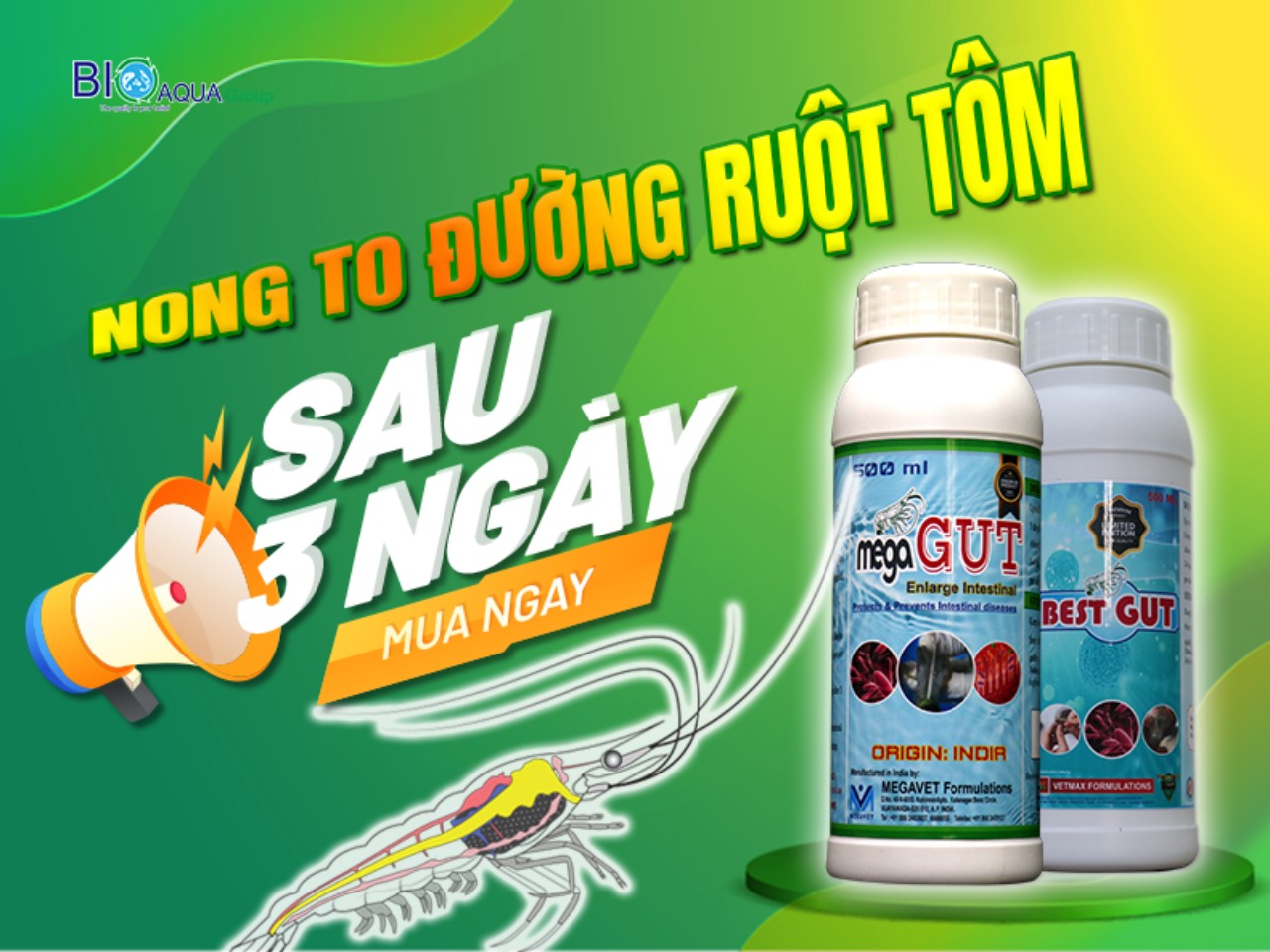 NONG TO ĐƯỜNG RUỘT VÀ TÁI TẠO NHUNG MAO RUỘT BẰNG VI SINH HIỆU QUẢ