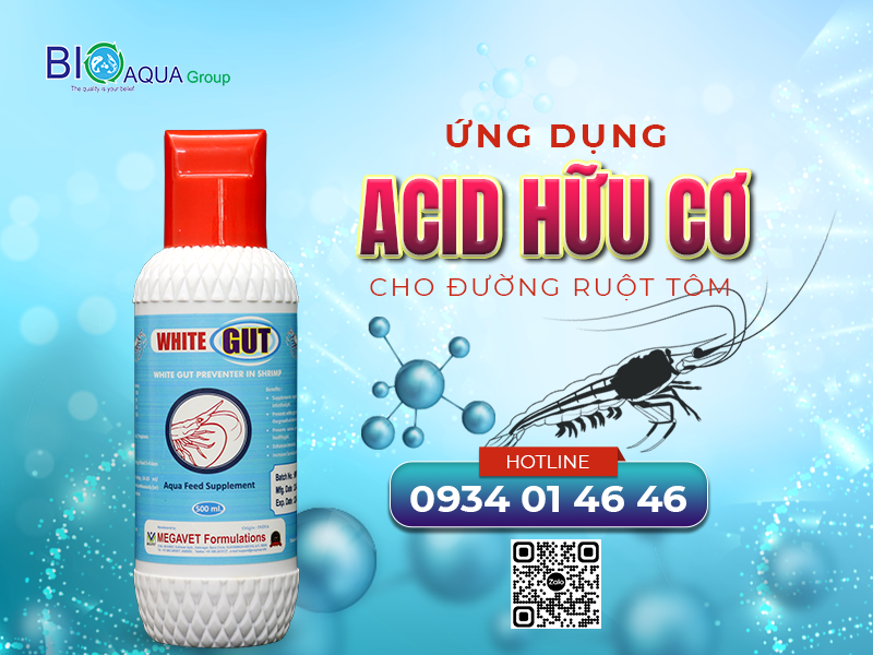 PHƯƠNG PHÁP DÙNG ACID HỮU CƠ HIỆU QUẢ NHẤT