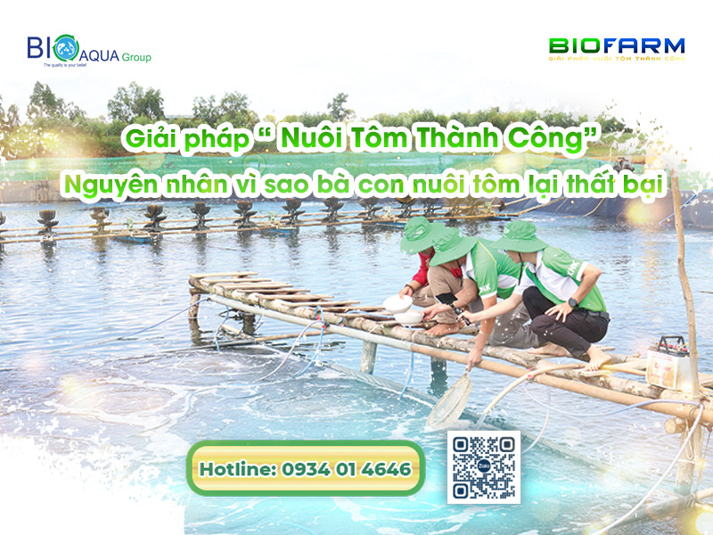 VÌ SAO BÀ CON NUÔI TÔM THẤT BẠI? VÀ ĐÂU LÀ GIẢI PHÁP!