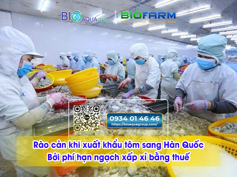 RÀO CẢN KHI XUẤT KHẨU TÔM SANG HÀN QUỐC BỞI PHÍ HẠN NGẠCH XẤP XỈ BẰNG THUẾ ĐÃ ĐƯỢC TẠO