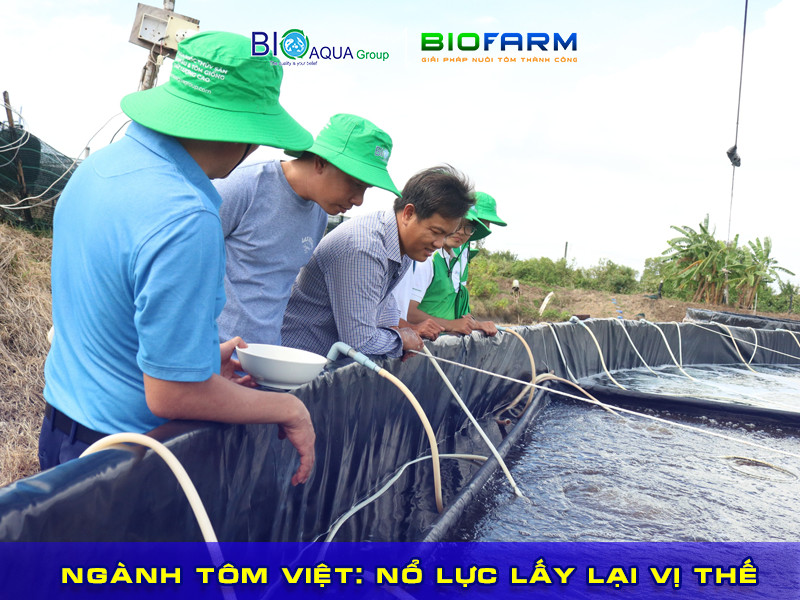 Ngành tôm Việt