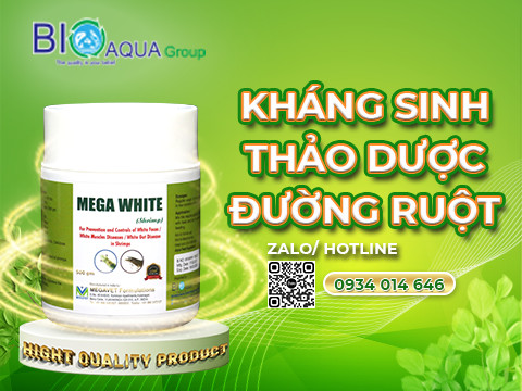 Khang sinh THAO DUOC hieu qua cao đac tri benh đuong ruot tom