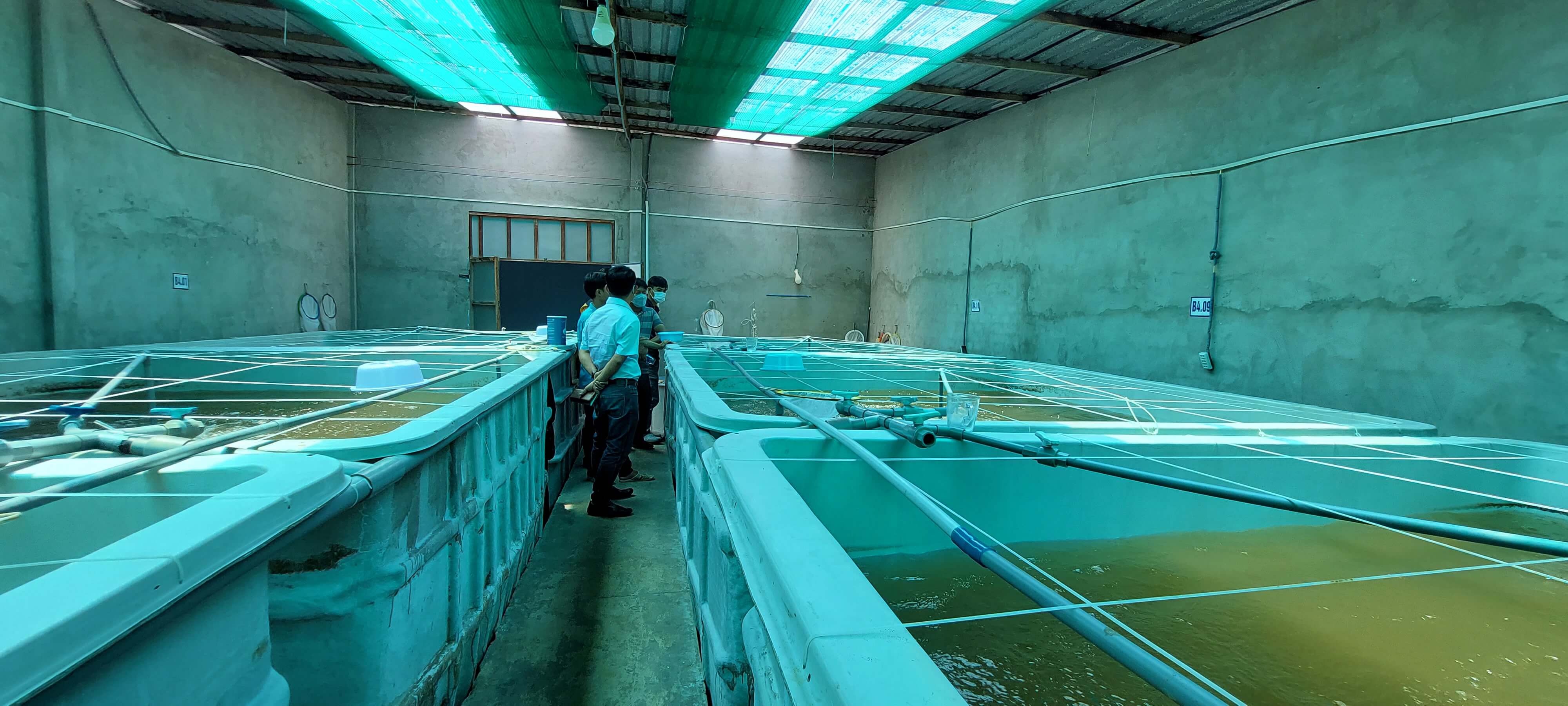 Luu y khi lua chon san pham diet khuan giai doan tom uong Luu y khi lua chon san pham diet khuan giai doan tom uong