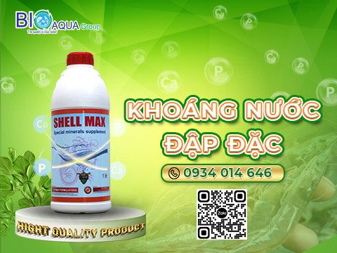 Shell Max - Khoang nuoc dam dac bo sung vi luong can thiet cho tom