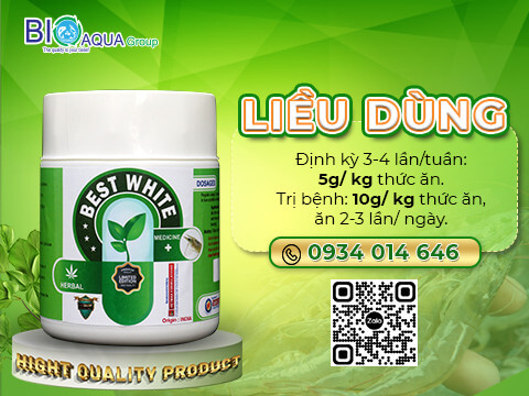 Best White - khang sinh thao duoc diet khuan phan trang phong tri cac benh duong ruot