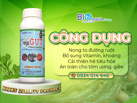 phan-biet-hien-tuong-dom-trang-tren-tom-do-virus-vi-khuan-gay-ra-hay-do-tich-tu-canxi