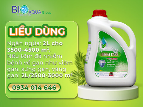 Gan tạt thảo dược chuyên trị các loại bệnh về gan tôm Gan tạt thảo dược chuyên trị các loại bệnh về gan tôm