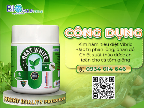 Best White - khang sinh thao duoc diet khuan phan trang phong tri cac benh duong ruot