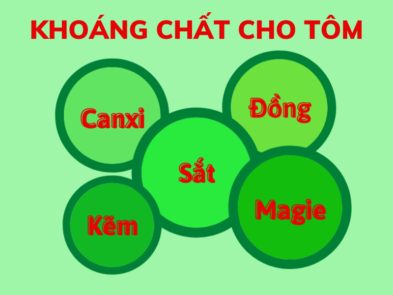 XNK_BIO_AQUA_KHOANG_CHAT_CHO_TOM