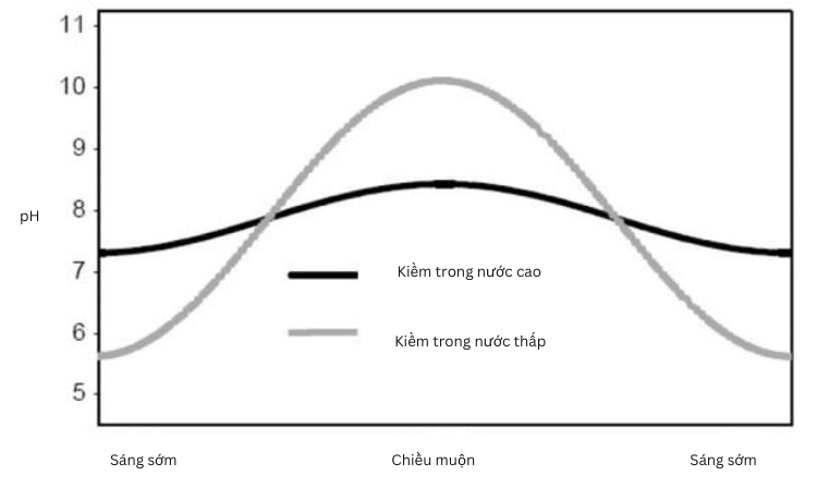 cach-tang-giam-kiem-trong-ao-nuoi-tom-hieu-qua