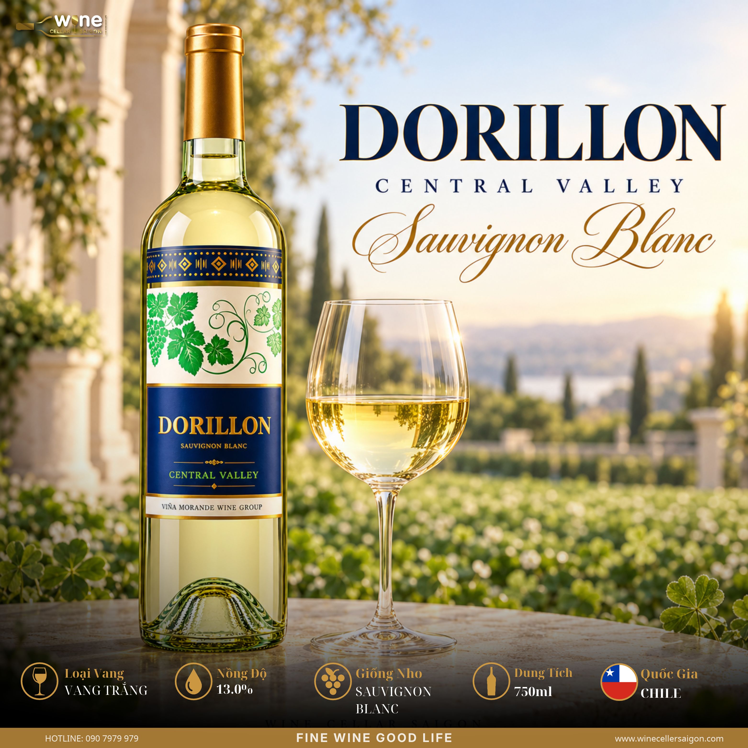 DORILLON CENTRAL VALLEY SAUVIGNON BLANC
