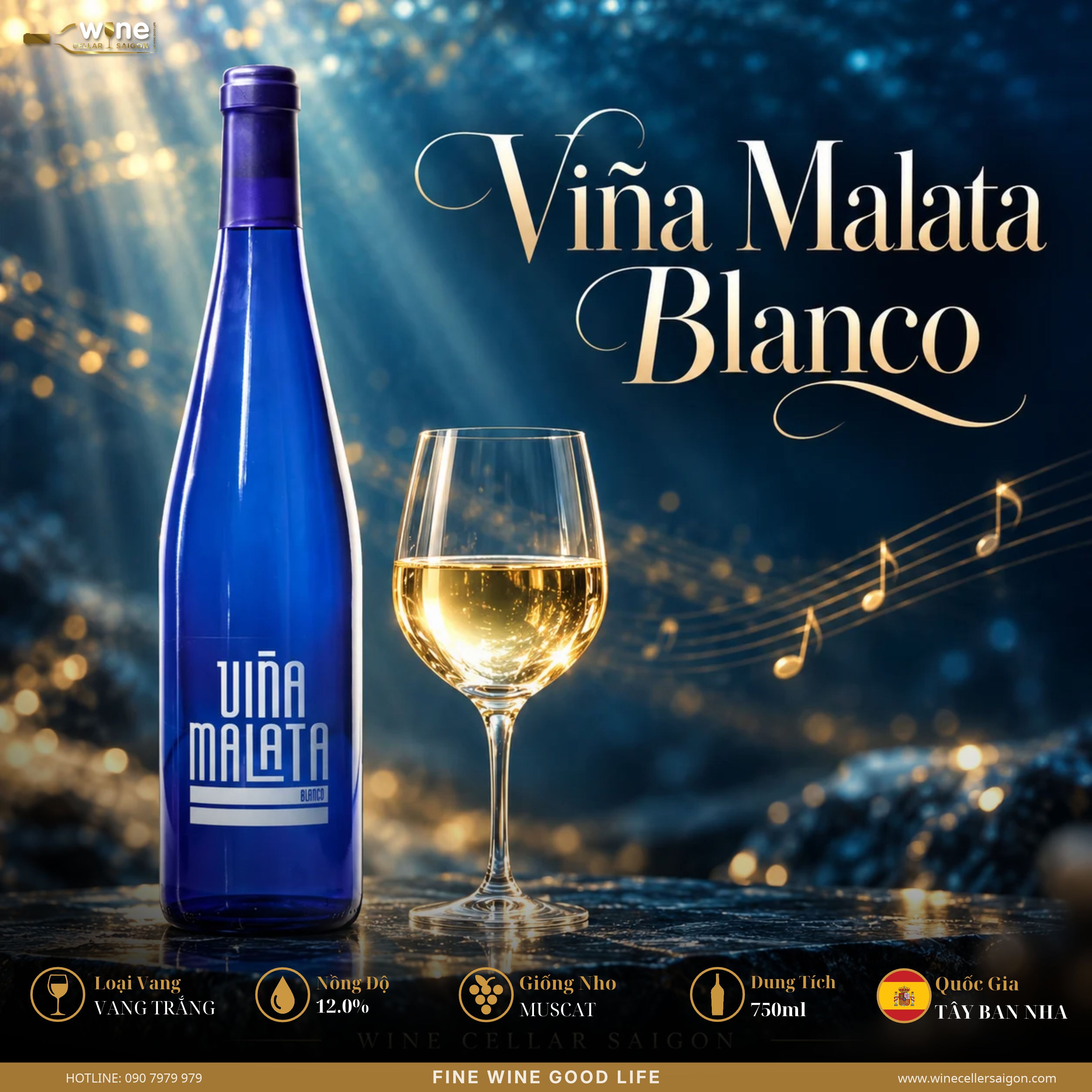 FRUITY WHITE WINE Viña Malata Blanco