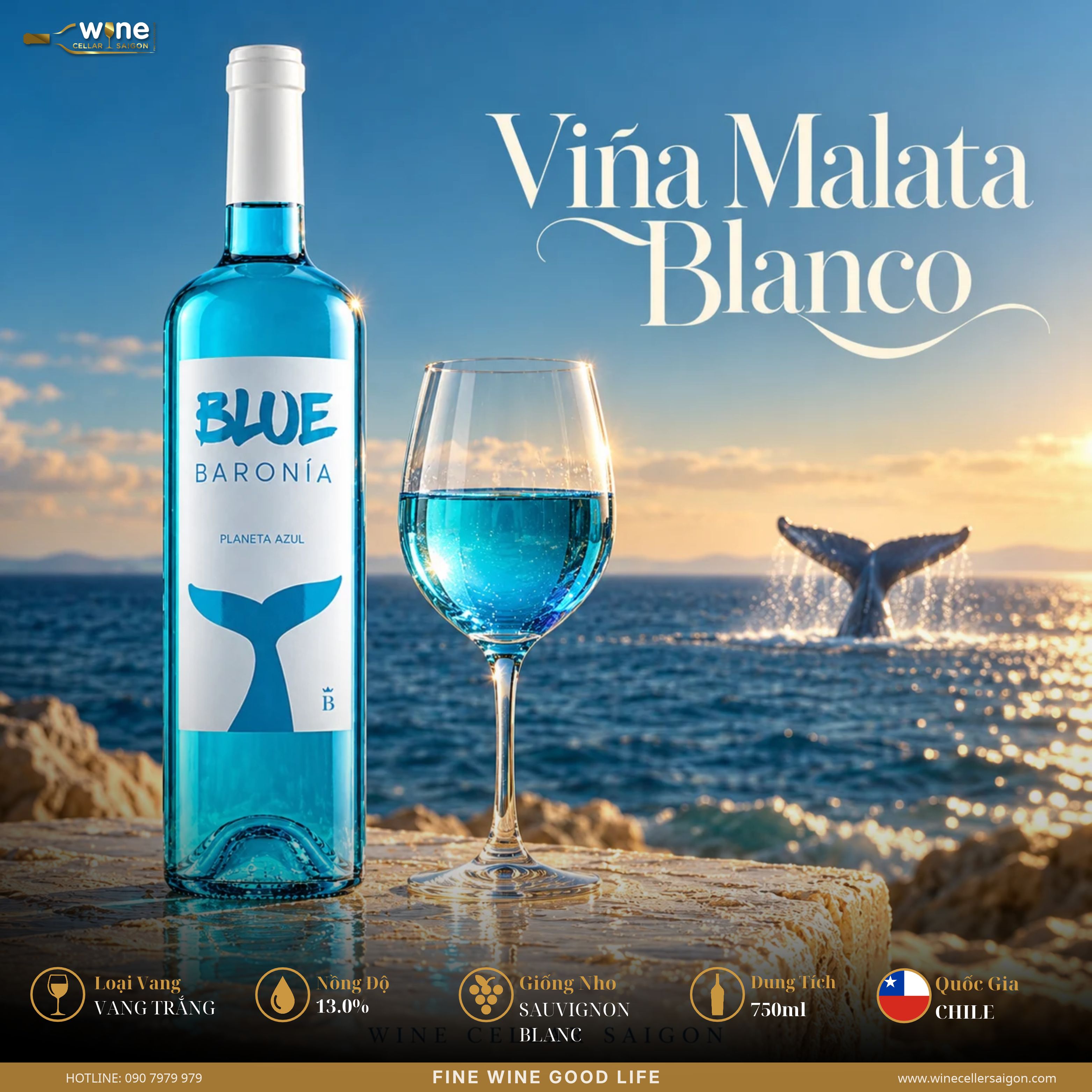 BLUE BARONIA