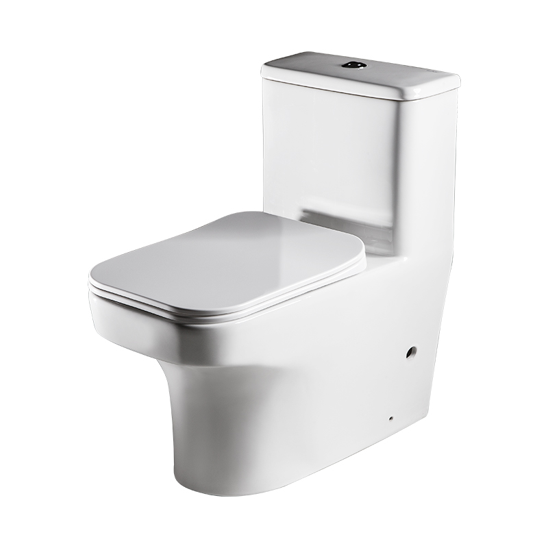 Bồn cầu 1 khối cao cấp Bravat C21122UW-3-ENG