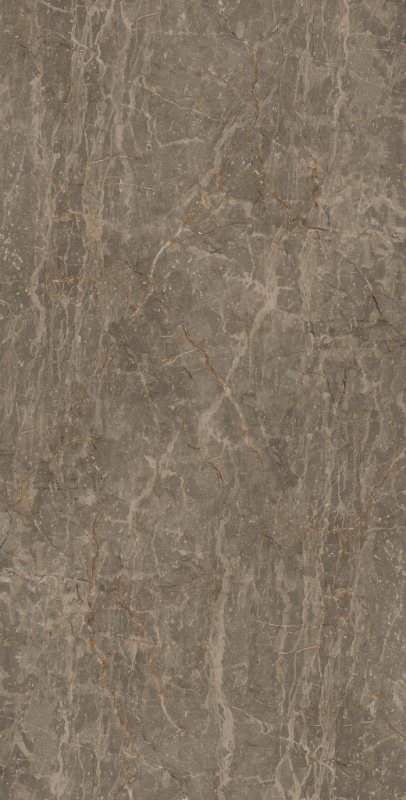 Gạch granite men mài Đồng Tâm 4080FANSIPAN002-FP