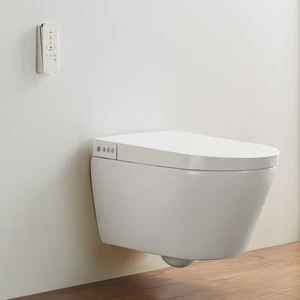 Bồn cầu treo tường cao cấp Bravat C21235W-CD