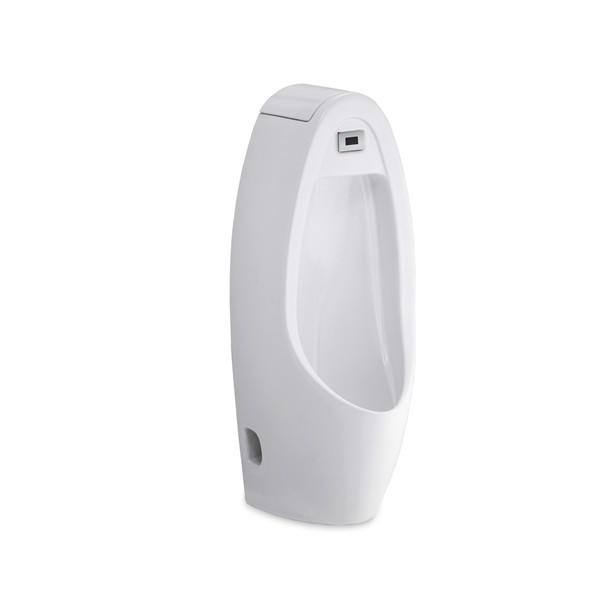 Bồn tiểu nam cảm ứng Cotto C31237AC