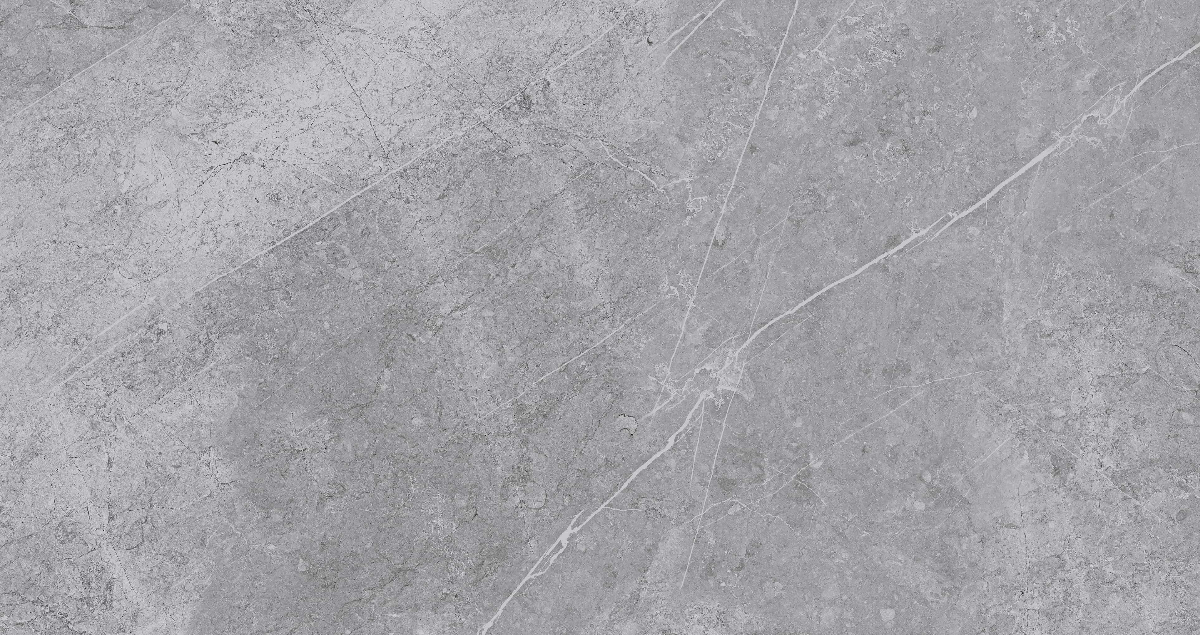 Gạch cao cấp có chức năng diệt khuẩn FLORINA - FL126MS4 kích thước 60X120 cm