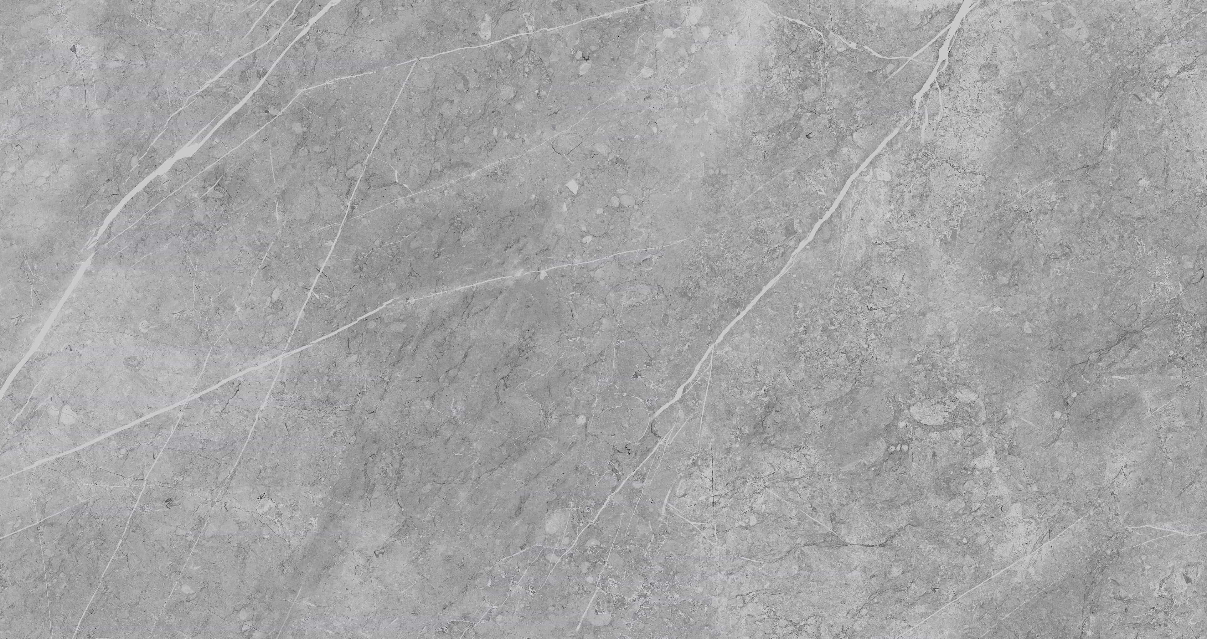 Gạch cao cấp có chức năng diệt khuẩn FLORINA - FL126MS4 kích thước 60X120 cm